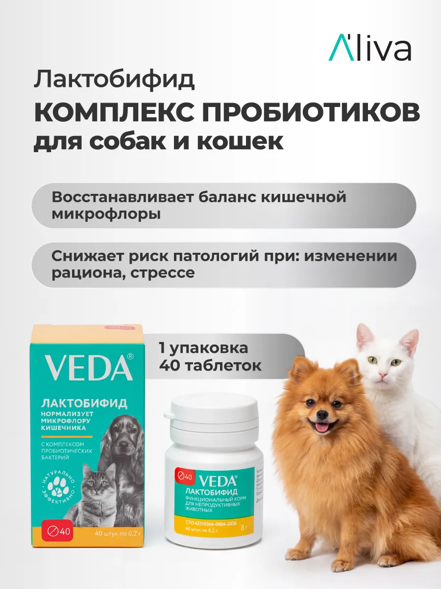 Комплекс пробиотиков ЛАКТОБИФИД, 40 таблеток, VEDA